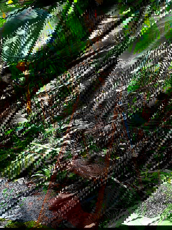 mosssaico mosssaico archive image