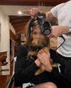 jenniferaniston Altpins Profile Picture