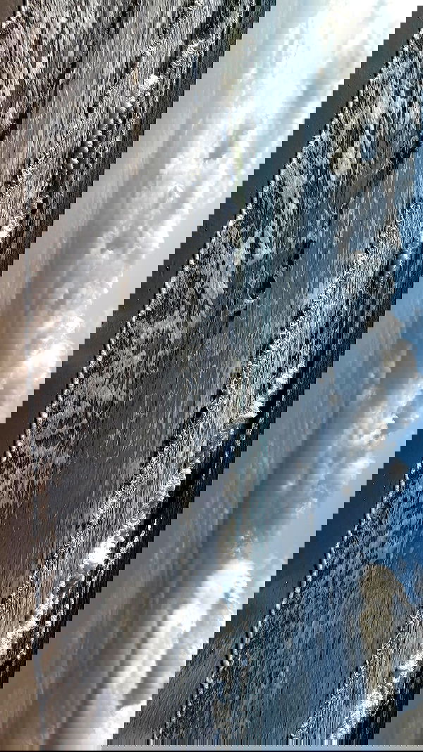 efrat_elmalich efrat_elmalich archive image