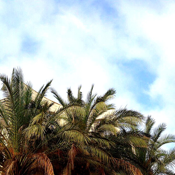 evasela__ instagram image archive image
