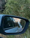 solzarubin_ Altpins Profile Picture