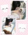 ____sy.02 Altpins Profile Picture