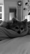 nina.kxs Altpins Profile Picture