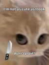 milkibunshehe Altpins Profile Picture