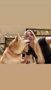 shay_livni Altpins Profile Picture