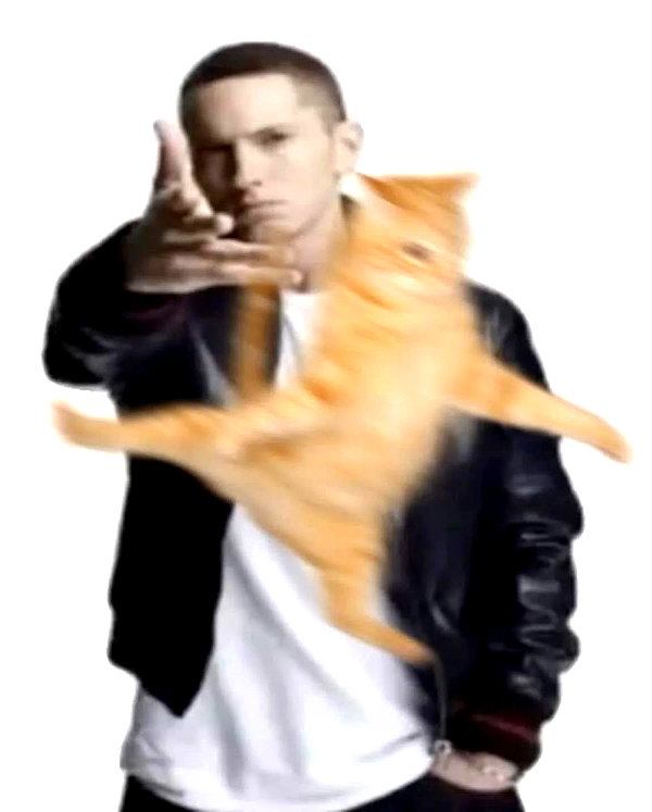purrrik purrrik archive image