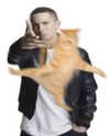 purrrik Altpins Profile Picture