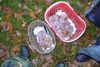 danafetishistova Altpins Profile Picture