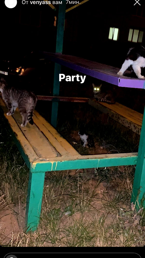 ptpchik instagram image archive image