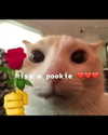 milkiwifey Altpins Profile Picture