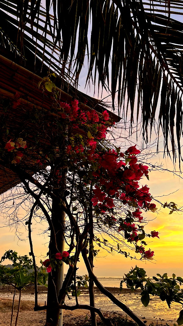 Archived image from @hamixx_ on Instagram