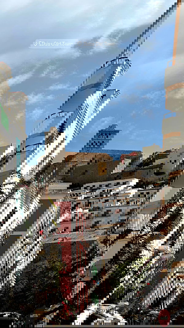 taylor.creeden taylor.creeden archive image