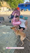 michal_cohen017 Altpins Profile Picture