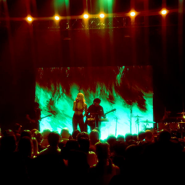 cannonstheband instagram image archive image