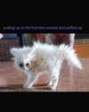 ellaexplicit_ Altpins Profile Picture