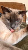 tatumchurch Altpins Profile Picture