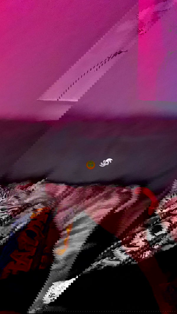 suikomuu suikomuu archive image