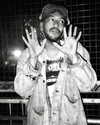 bugz4brainz Altpins Profile Picture