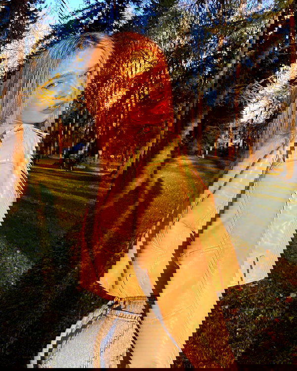 pinx_ir pinx_ir archive image