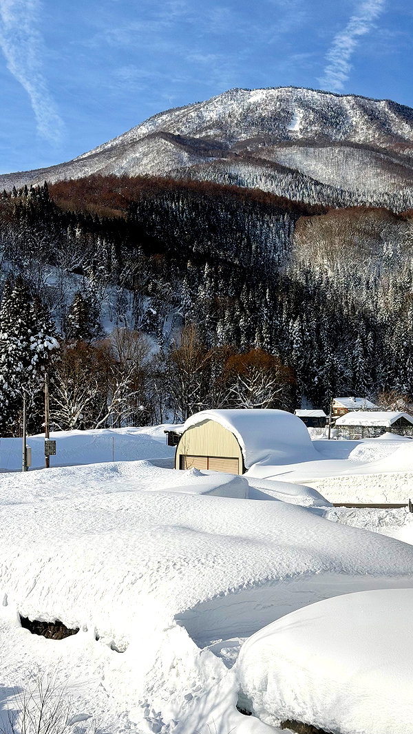 sullivang_ instagram image archive image