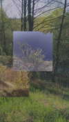 alisen.mari Altpins Profile Picture
