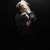 ashleybenson Altpins Profile Picture