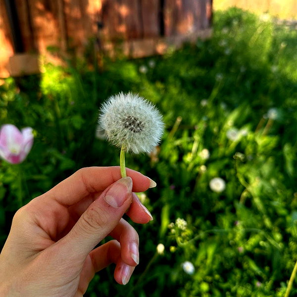 f4iryybl00d instagram image archive image