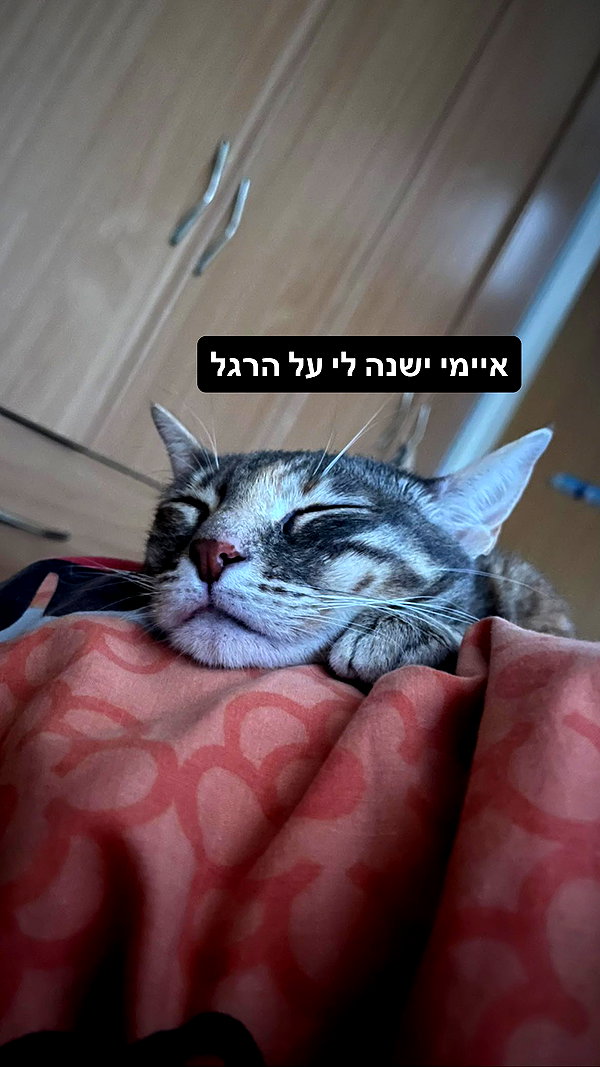 Archived image from @notchicore on Instagram