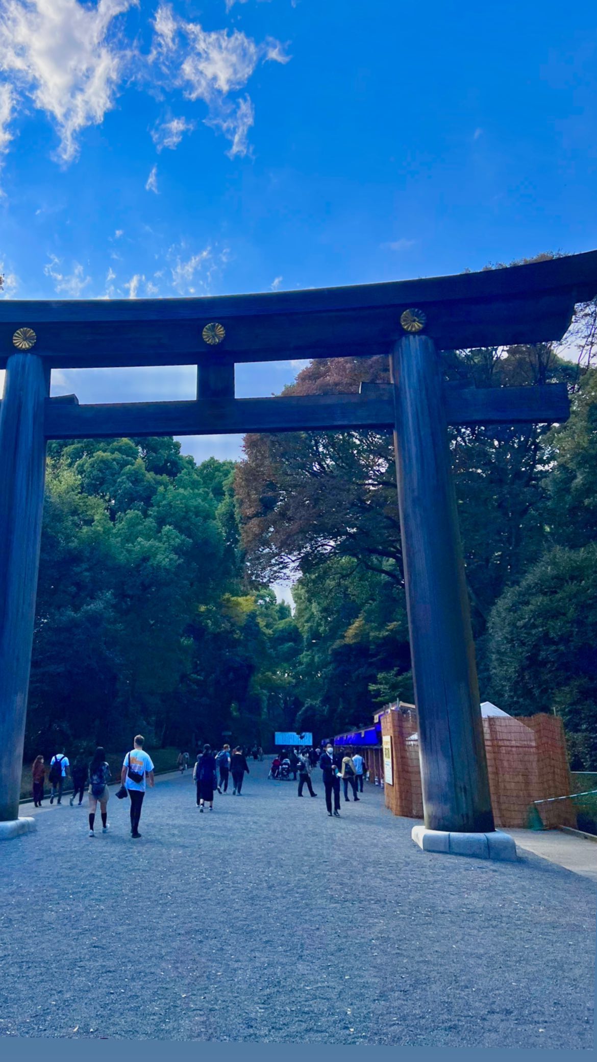 leonanaomii instagram image archive image