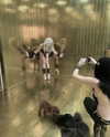 biohazard.g1rl Altpins Profile Picture
