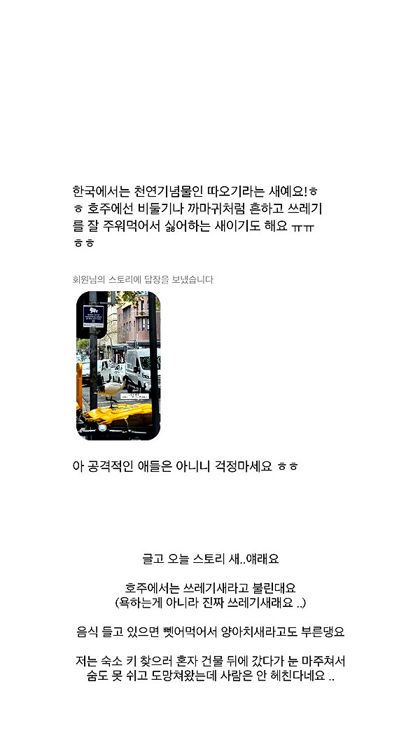 daxbin instagram image archive image