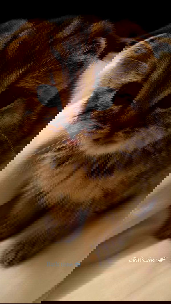 taylor.creeden taylor.creeden archive image