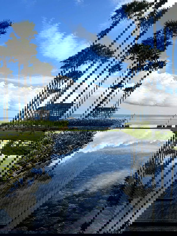 taylor.creeden taylor.creeden archive image