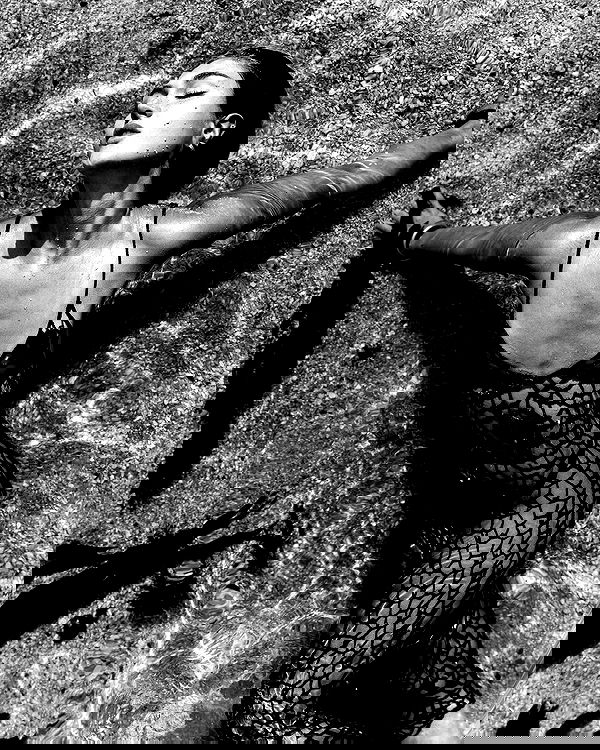 taylor.creeden taylor.creeden archive image