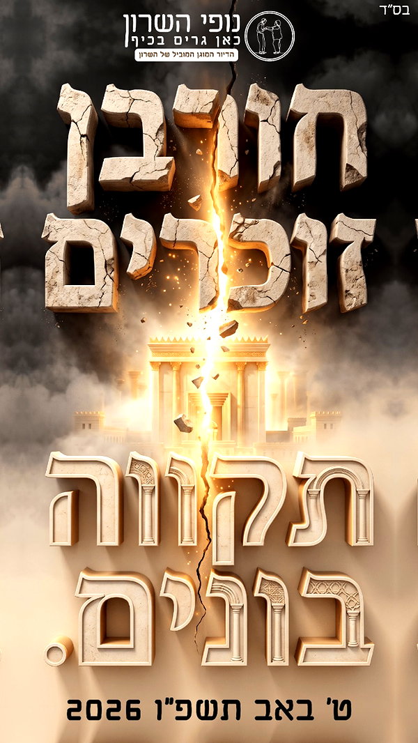 nofei_hasharon instagram image archive image