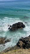 daisy_r_19 Altpins Profile Picture