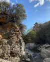 solzarubin_ Altpins Profile Picture