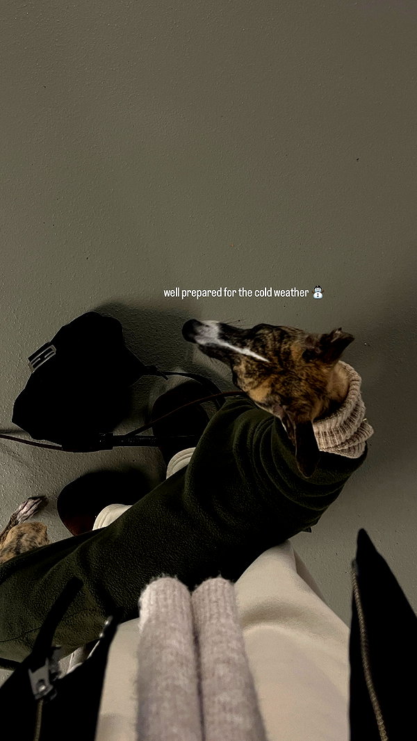 lilih instagram image archive image