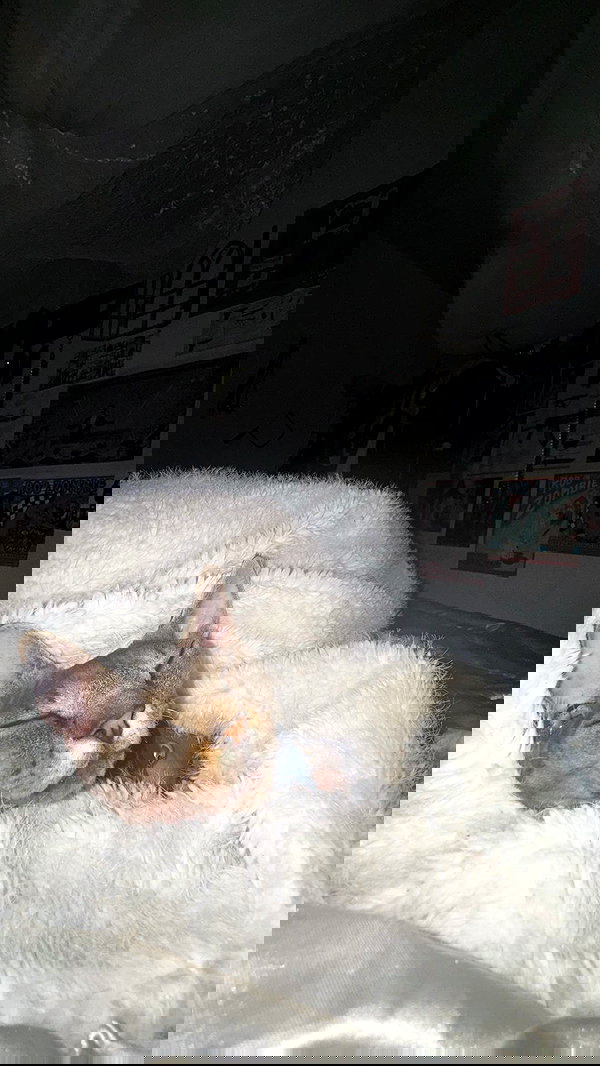 zommmbri zommmbri archive image