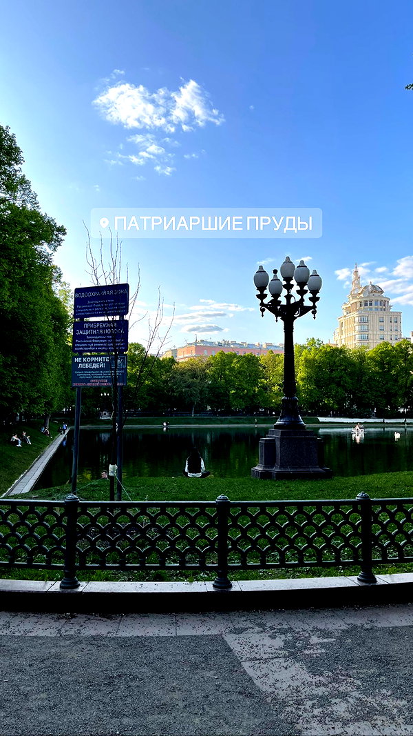 alishevs instagram image archive image