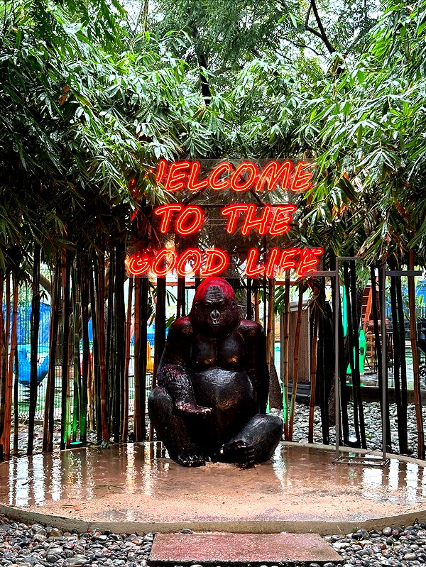 lasaaagna instagram image archive image