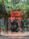 lasaaagna Altpins Profile Picture