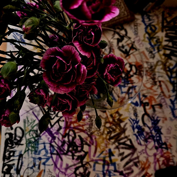 hannahxgda instagram image archive image