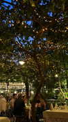 dekota_thompson Altpins Profile Picture