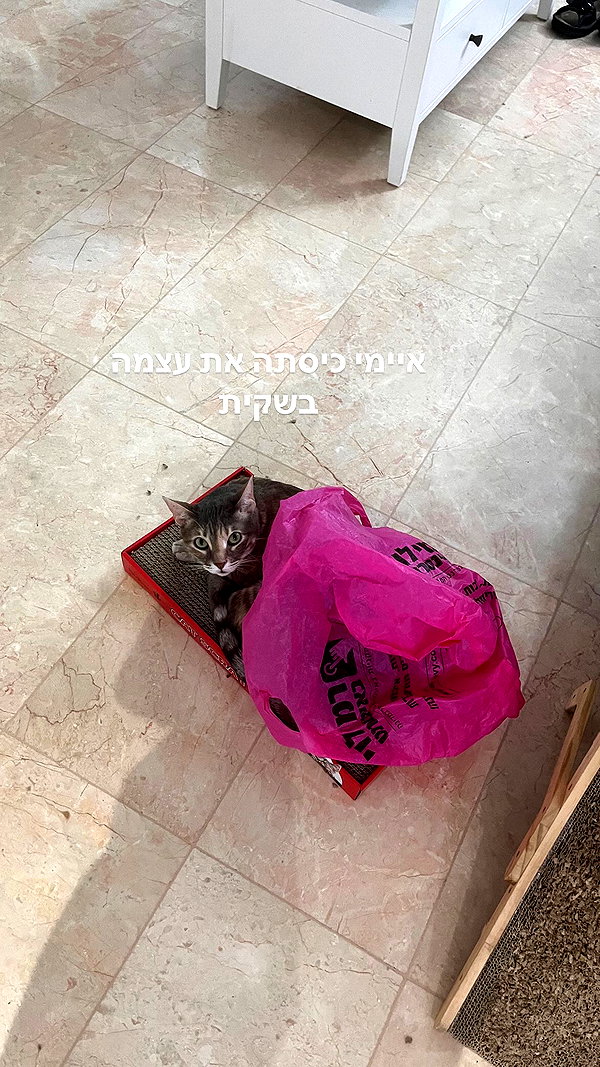 Archived image from @notchicore on Instagram