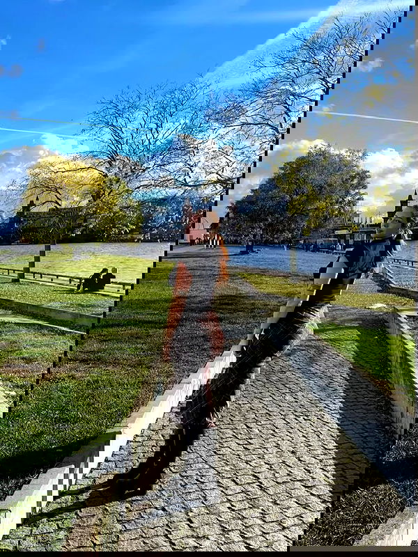 mishel116 mishel116 archive image