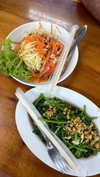 shirakor_ Altpins Profile Picture