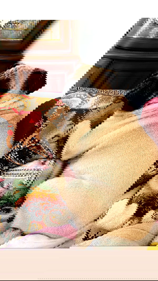 nyityam nyityam archive image