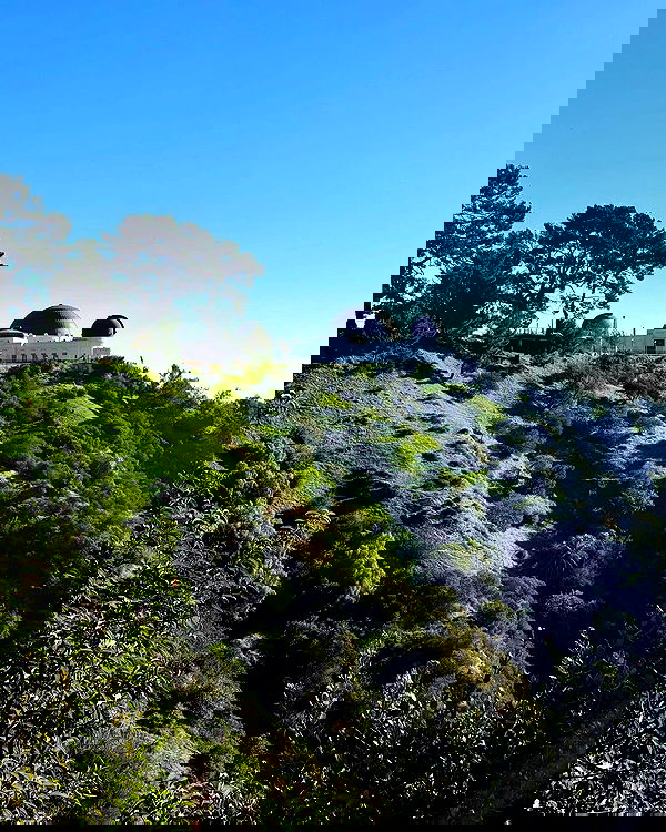 giuliahere giuliahere archive image