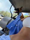 sophiecharlotth Altpins Profile Picture